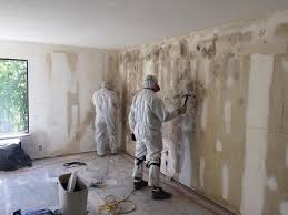 Best Emergency Mold Remediation  in Piqua, OH